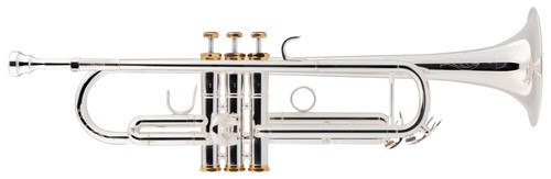 Ware tromba argentata - tromba,
