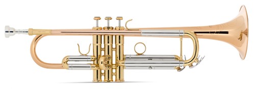 Fantastica tromba per