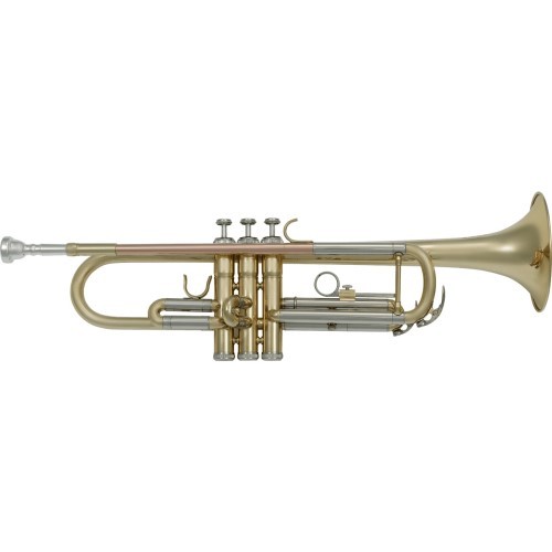 Sml paris vsm tp300 - vsm, tromba