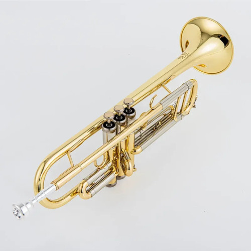 Strumento tromba professionale - strumento,