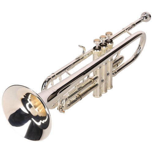 Nuovo chicago winds - chicago,